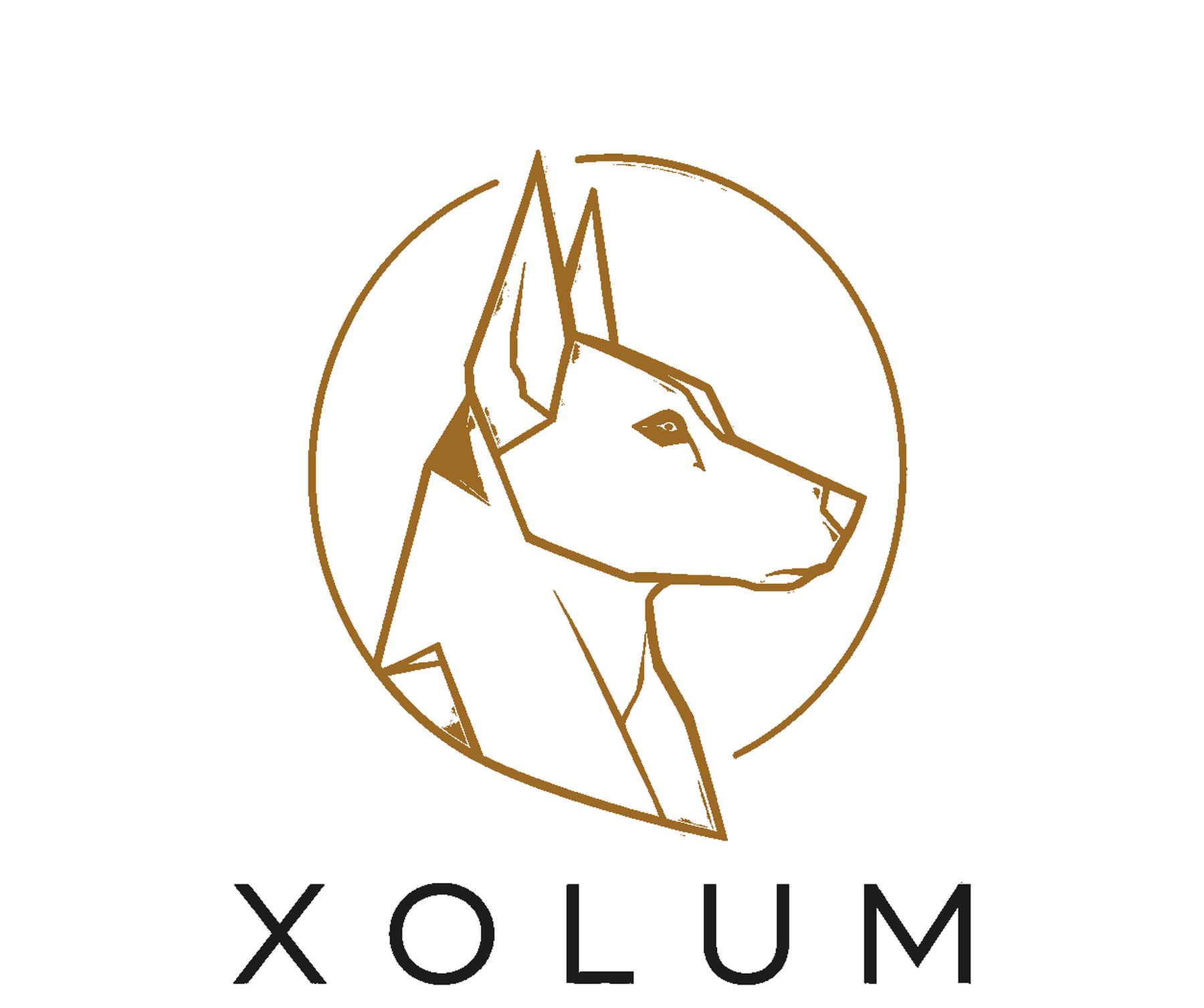 XOLUM sobre fondo claro